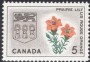 植物:北美洲:加拿大:ca196410.jpg