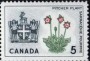 植物:北美洲:加拿大:ca196411.jpg