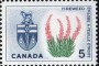植物:北美洲:加拿大:ca196412.jpg