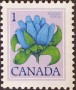 植物:北美洲:加拿大:ca197701.jpg
