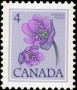 植物:北美洲:加拿大:ca197704.jpg