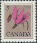 植物:北美洲:加拿大:ca197705.jpg