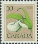 植物:北美洲:加拿大:ca197706.jpg