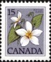 植物:北美洲:加拿大:ca197902.jpg