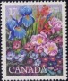 植物:北美洲:加拿大:ca198001.jpg