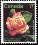 植物:北美洲:加拿大:ca198101.jpg
