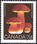 植物:北美洲:加拿大:ca198904.jpg