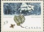 植物:北美洲:加拿大:ca199001.jpg