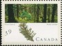 植物:北美洲:加拿大:ca199003.jpg