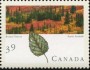 植物:北美洲:加拿大:ca199004.jpg