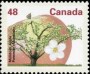 植物:北美洲:加拿大:ca199101.jpg