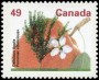 植物:北美洲:加拿大:ca199201.jpg