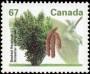 植物:北美洲:加拿大:ca199202.jpg
