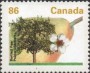 植物:北美洲:加拿大:ca199203.jpg