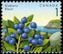 植物:北美洲:加拿大:ca199204.jpg