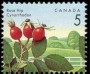 植物:北美洲:加拿大:ca199207.jpg