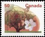 植物:北美洲:加拿大:ca199401.jpg