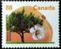 植物:北美洲:加拿大:ca199403.jpg