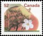 植物:北美洲:加拿大:ca199501.jpg