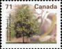植物:北美洲:加拿大:ca199502.jpg
