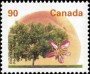 植物:北美洲:加拿大:ca199503.jpg