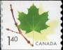 植物:北美洲:加拿大:ca200306.jpg