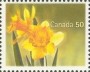 植物:北美洲:加拿大:ca200501.jpg