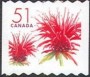 植物:北美洲:加拿大:ca200506.jpg