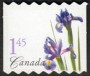 植物:北美洲:加拿大:ca200508.jpg
