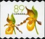 植物:北美洲:加拿大:ca200509.jpg