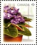 植物:北美洲:加拿大:ca201002.jpg