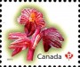 植物:北美洲:加拿大:ca201005.jpg