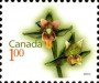 植物:北美洲:加拿大:ca201006.jpg