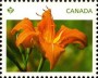 植物:北美洲:加拿大:ca201201.jpg