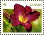 植物:北美洲:加拿大:ca201202.jpg