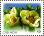 植物:北美洲:加拿大:ca201301.jpg