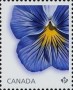 植物:北美洲:加拿大:ca201501.jpg