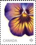 植物:北美洲:加拿大:ca201502.jpg