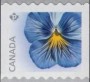 植物:北美洲:加拿大:ca201505.jpg