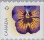 植物:北美洲:加拿大:ca201506.jpg