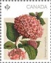 植物:北美洲:加拿大:ca201601.jpg