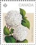 植物:北美洲:加拿大:ca201602.jpg
