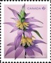 植物:北美洲:加拿大:ca202402.jpg