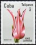 植物:北美洲:古巴:cu198202.jpg