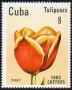 植物:北美洲:古巴:cu198203.jpg