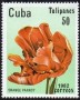 植物:北美洲:古巴:cu198206.jpg