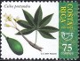 植物:北美洲:哥斯达黎加:cr200401.jpg