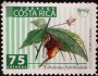 植物:北美洲:哥斯达黎加:cr200402.jpg