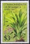 植物:北美洲:多米尼克:dm198404.jpg