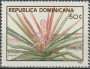 植物:北美洲:多米尼加:do198801.jpg